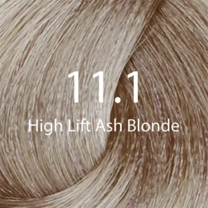 Eazicolor Professional Tube (11.1 High Lift Ash Blond)