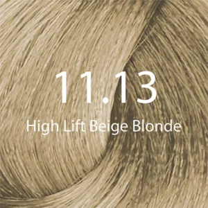 Eazicolor Professional Tube (11.13 High Lift Beige Blonde)