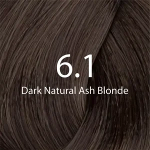 Eazicolor Professional Tube (6.1 Dark Ash Blond)